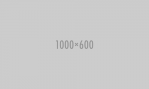 1000x600